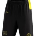 Elite Training Shorts