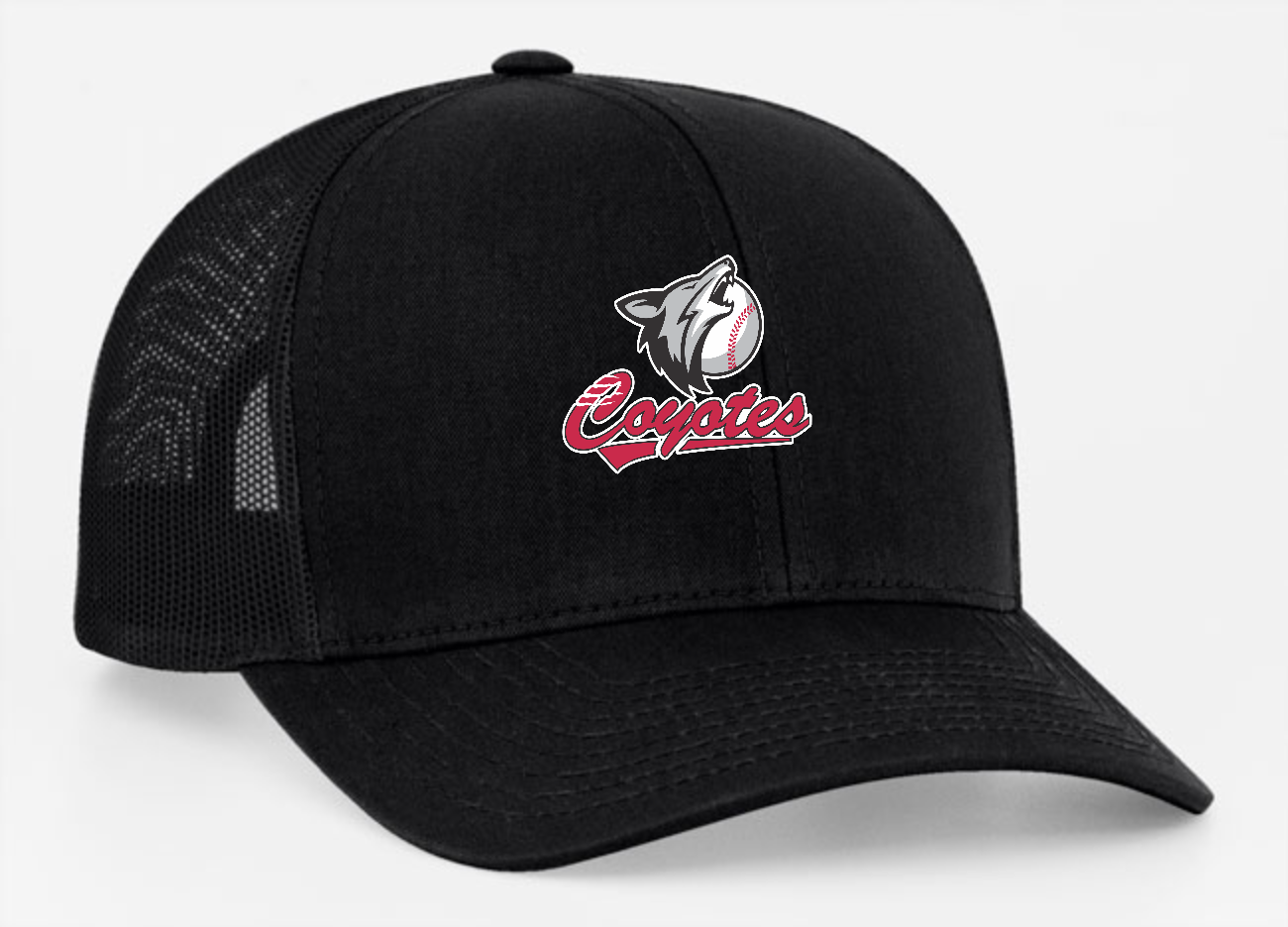 Snapback Hat