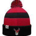 Pom-Pom Beanie