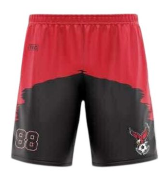 Elite Training Shorts| Black & Red