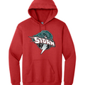 Adult Gildan Heavy Blend Hooded Sweatshirt