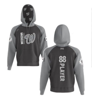 Elite Hoodie | Grey Logo