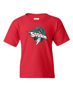 Youth Gildan ®Heavy Cotton ™ T-Shirt