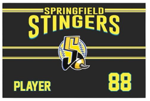 Fleece Lined Blanket | Stingers